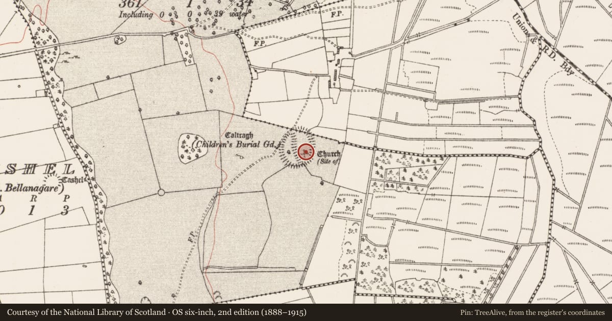 Ordnance Survey six-inch map, 2nd edition (1888–1915) covering the location of Field system, Ballaghcullia, County Roscommon, with a pin at the register's coordinates