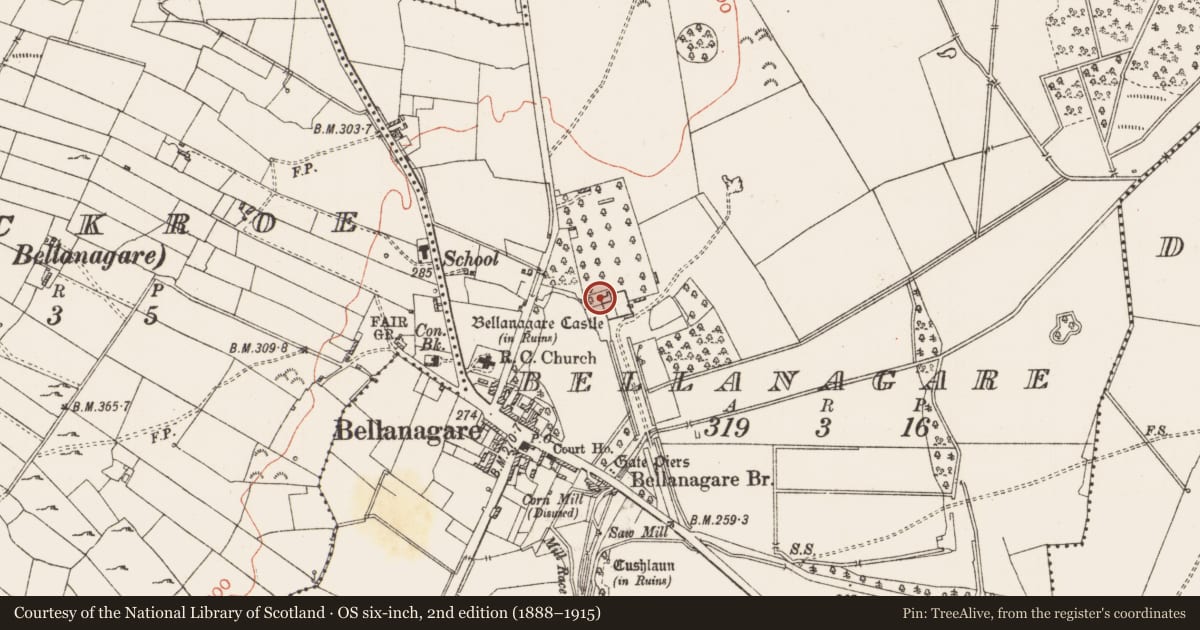 Ordnance Survey six-inch map, 2nd edition (1888–1915) covering the location of Castle - unclassified, Bellanagare, County Roscommon, with a pin at the register's coordinates