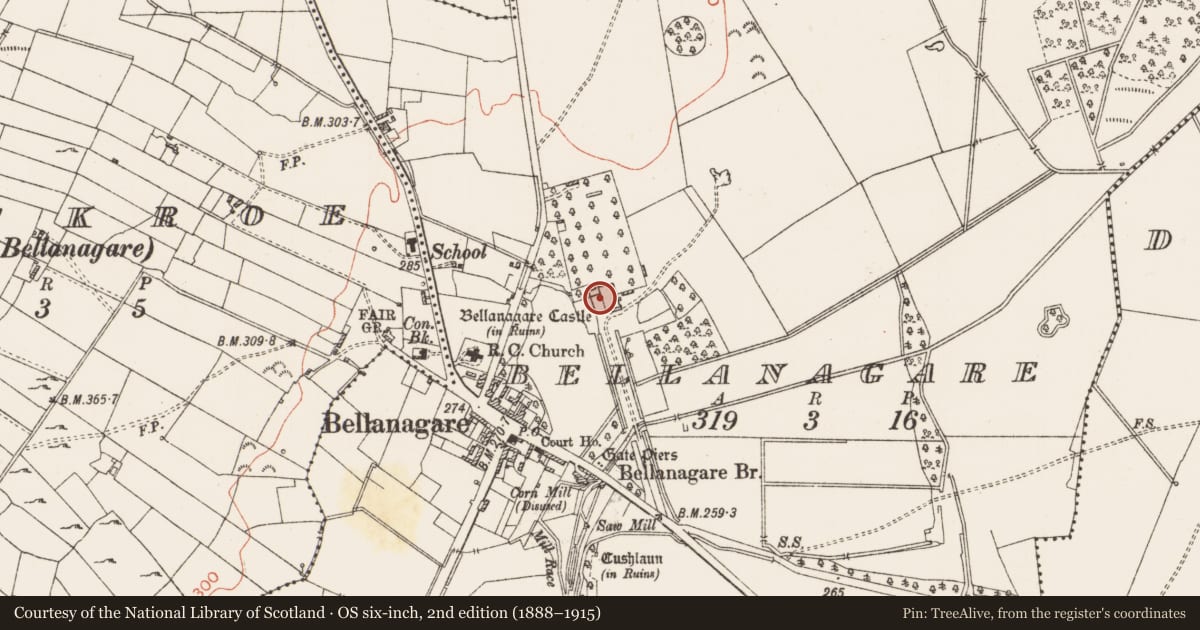 Ordnance Survey six-inch map, 2nd edition (1888–1915) covering the location of Bawn, Bellanagare, County Roscommon, with a pin at the register's coordinates