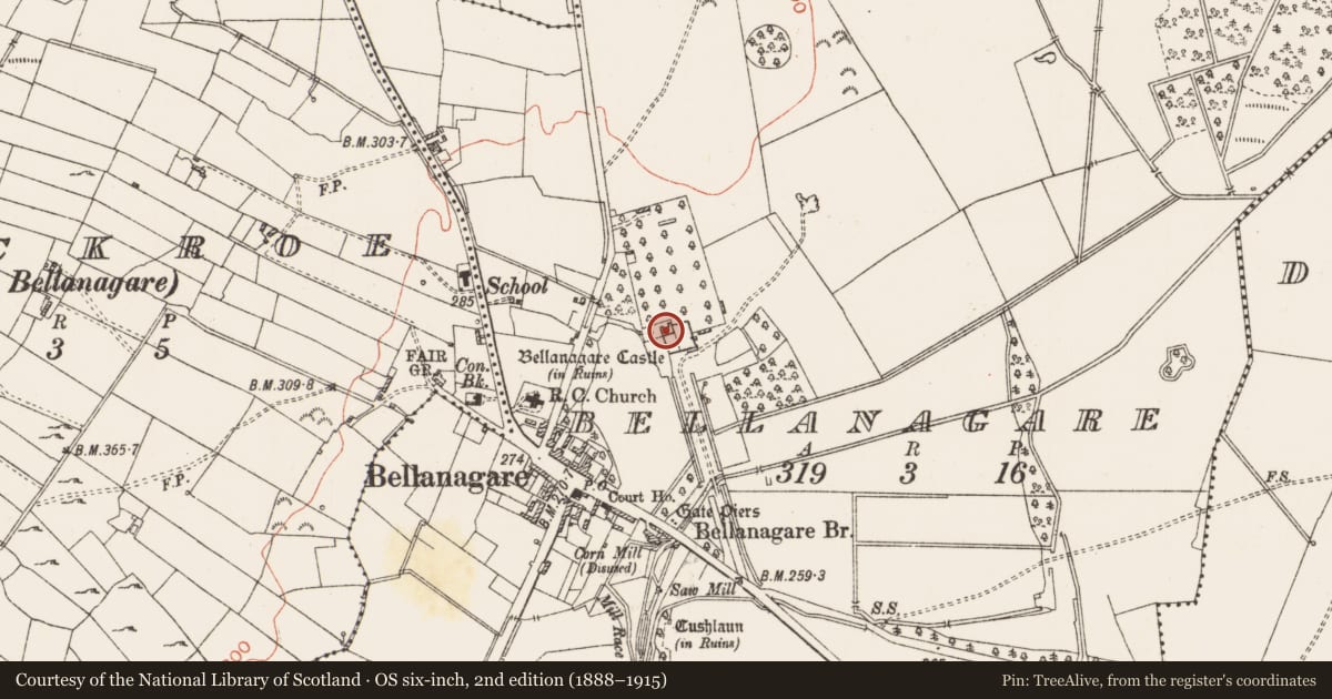 Ordnance Survey six-inch map, 2nd edition (1888–1915) covering the location of Architectural fragment, Bellanagare, County Roscommon, with a pin at the register's coordinates