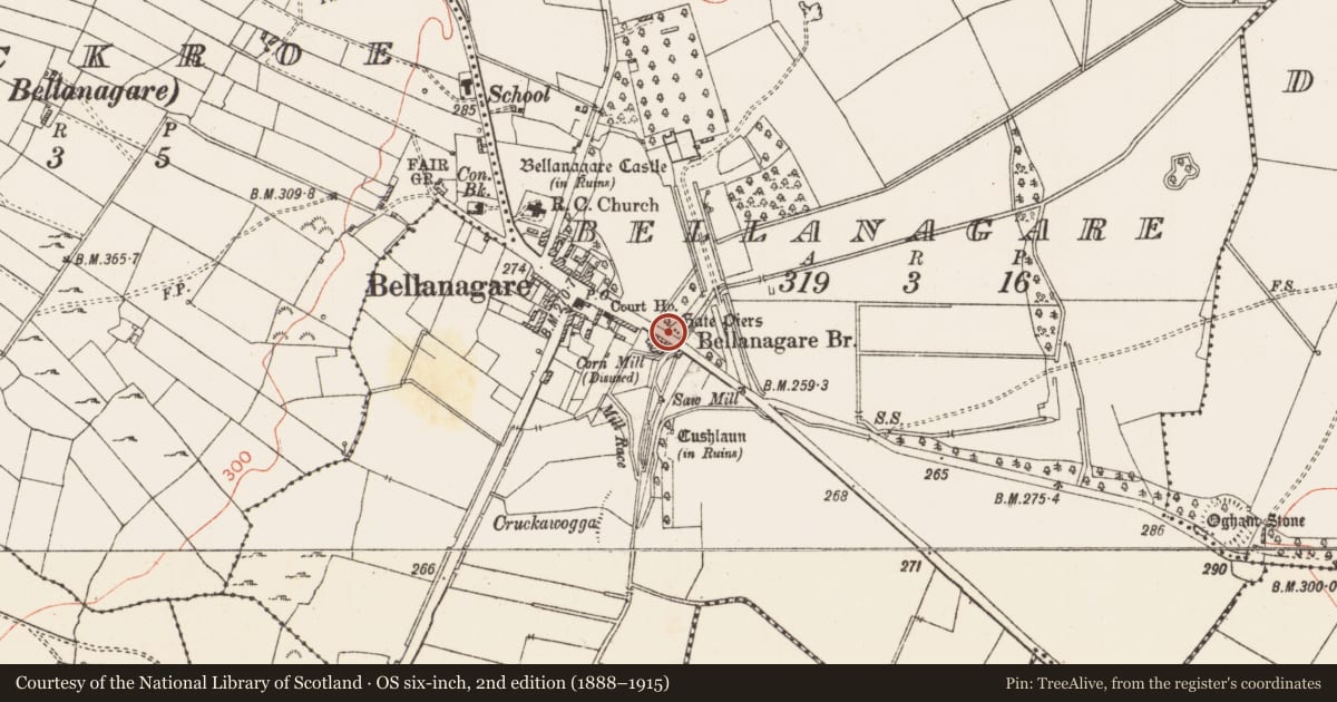 Ordnance Survey six-inch map, 2nd edition (1888–1915) covering the location of Gateway, Bellanagare, County Roscommon, with a pin at the register's coordinates