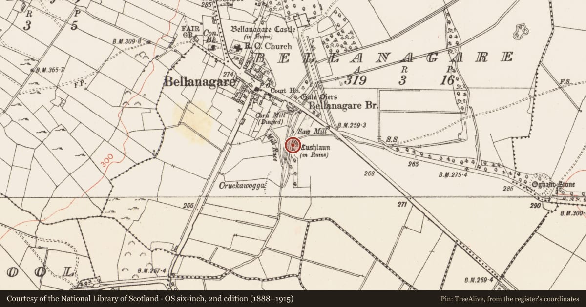 Ordnance Survey six-inch map, 2nd edition (1888–1915) covering the location of Castle - unclassified, Bellanagare, County Roscommon, with a pin at the register's coordinates