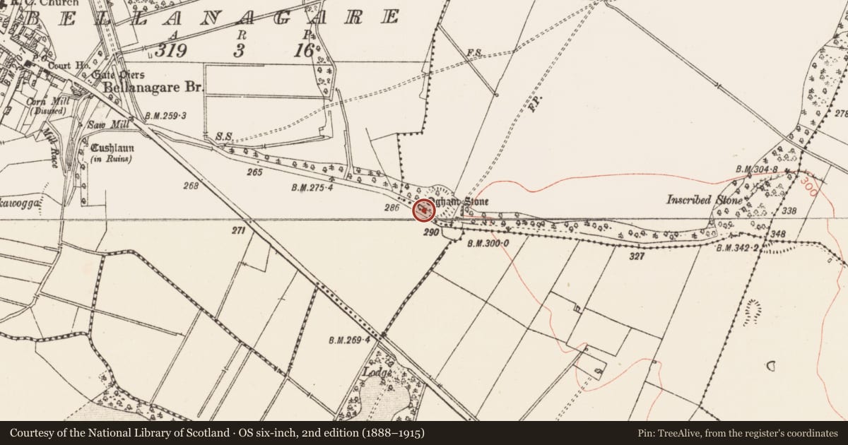 Ordnance Survey six-inch map, 2nd edition (1888–1915) covering the location of Ogham stone, Drummin, County Roscommon, with a pin at the register's coordinates