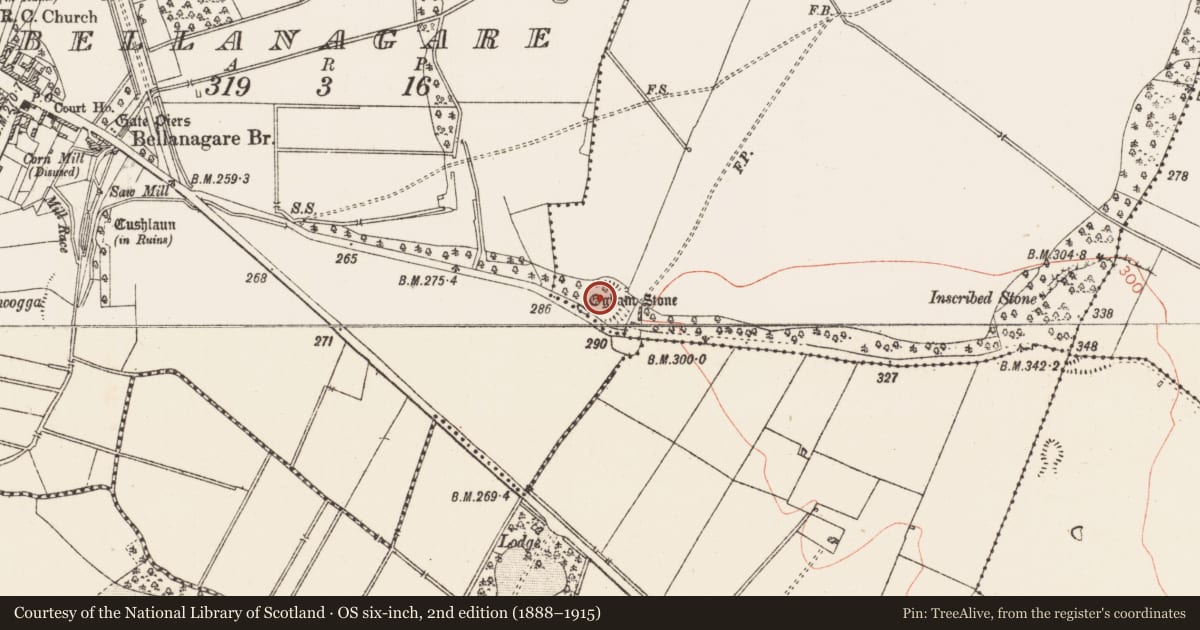 Ordnance Survey six-inch map, 2nd edition (1888–1915) covering the location of Ringfort - rath, Drummin, County Roscommon, with a pin at the register's coordinates