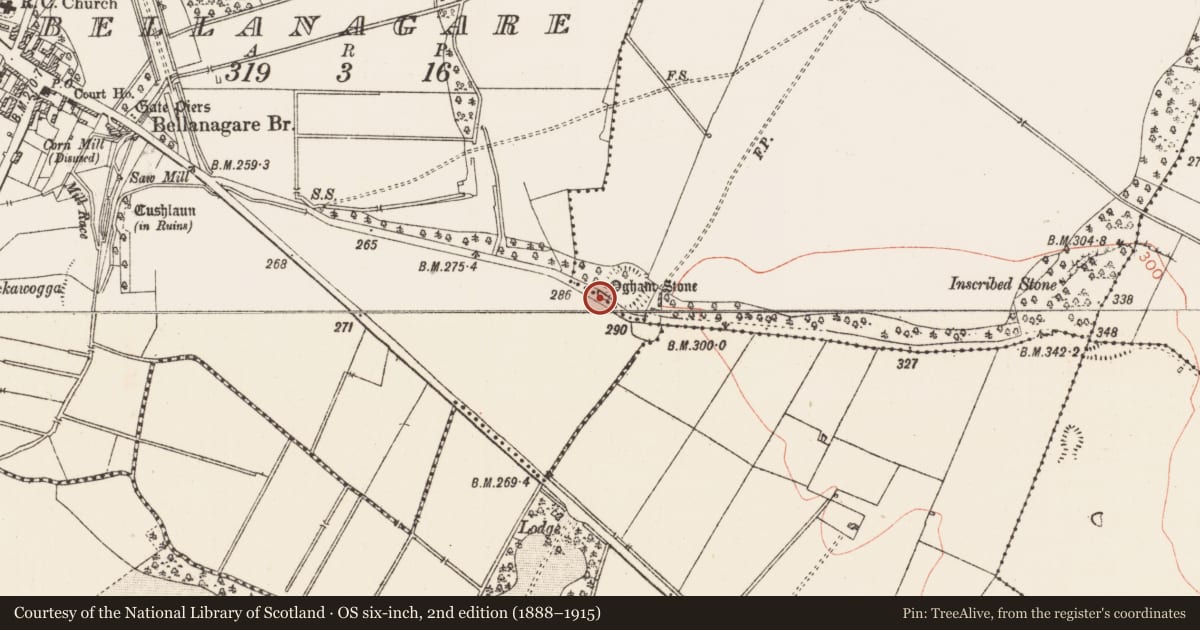 Ordnance Survey six-inch map, 2nd edition (1888–1915) covering the location of Ogham stone, Drummin, County Roscommon, with a pin at the register's coordinates