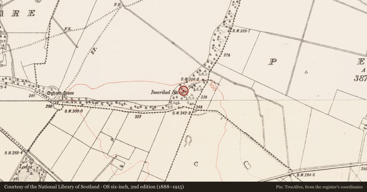 Ordnance Survey six-inch map, 2nd edition (1888–1915) covering the location of Inscribed stone, Drummin, County Roscommon, with a pin at the register's coordinates