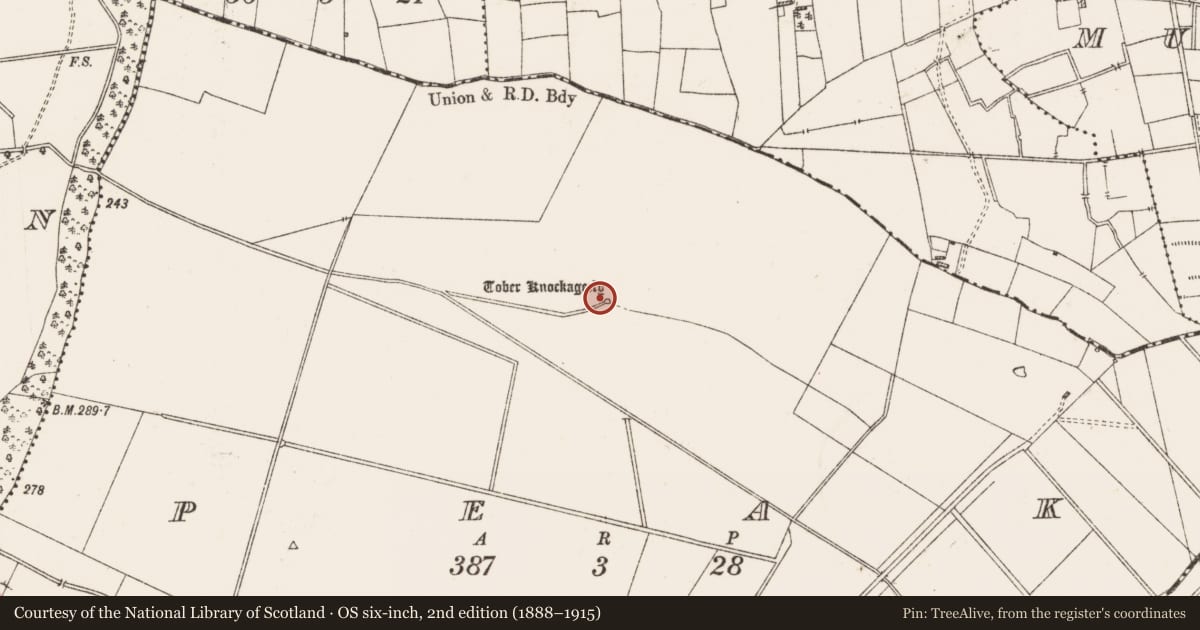Ordnance Survey six-inch map, 2nd edition (1888–1915) covering the location of Well, Peak, County Roscommon, with a pin at the register's coordinates