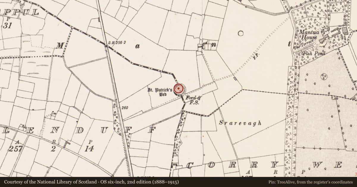 Ordnance Survey six-inch map, 2nd edition (1888–1915) covering the location of Enclosure, Brackloon, County Roscommon, with a pin at the register's coordinates