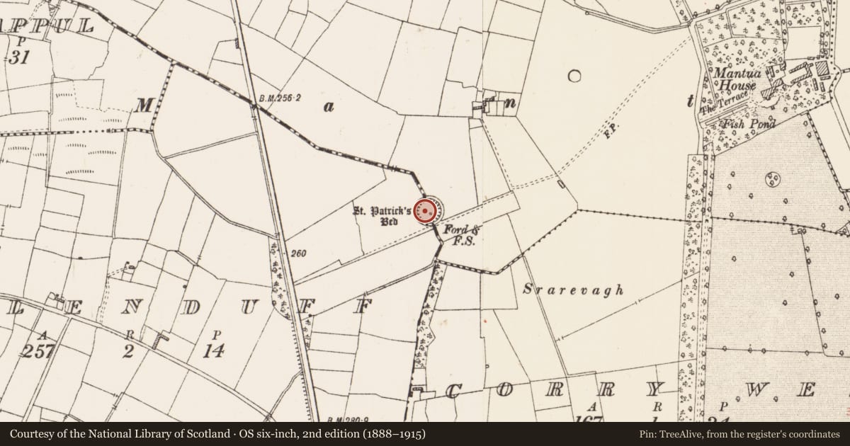 Ordnance Survey six-inch map, 2nd edition (1888–1915) covering the location of Penitential station, Brackloon, County Roscommon, with a pin at the register's coordinates