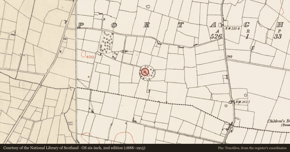 Ordnance Survey six-inch map, 2nd edition (1888–1915) covering the location of Designed landscape - tree-ring, Portaghard, County Roscommon, with a pin at the register's coordinates