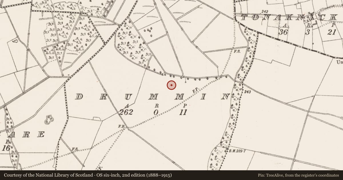Ordnance Survey six-inch map, 2nd edition (1888–1915) covering the location of Road - hollow-way, Drummin, County Roscommon, with a pin at the register's coordinates