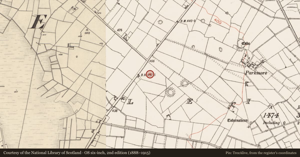Ordnance Survey six-inch map, 2nd edition (1888–1915) covering the location of Souterrain, Leitrim, County Roscommon, with a pin at the register's coordinates