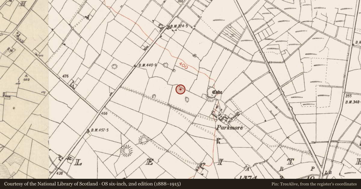 Ordnance Survey six-inch map, 2nd edition (1888–1915) covering the location of Ringfort - cashel, Leitrim, County Roscommon, with a pin at the register's coordinates