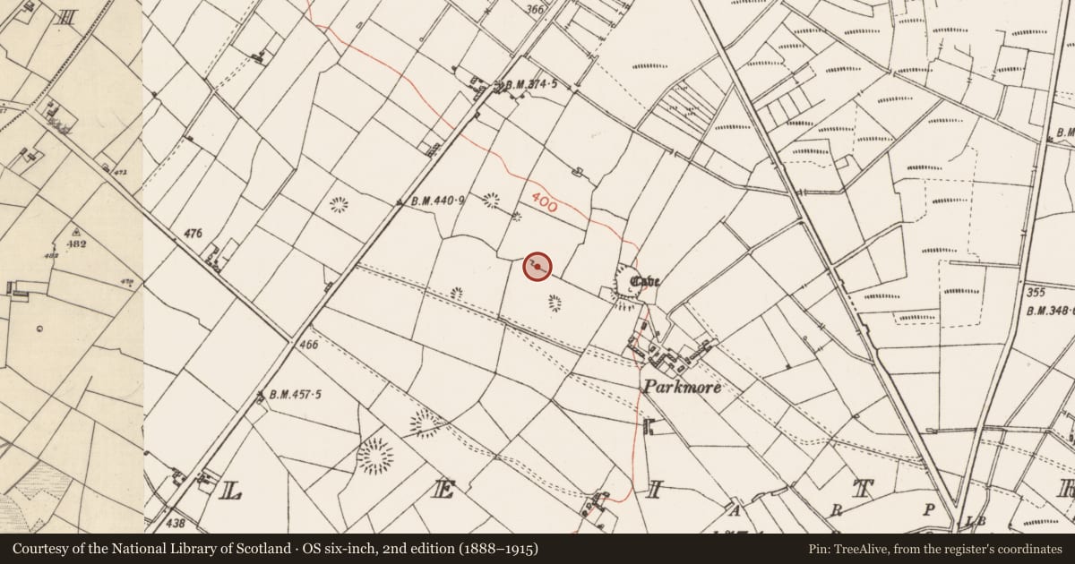 Ordnance Survey six-inch map, 2nd edition (1888–1915) covering the location of Hut site, Leitrim, County Roscommon, with a pin at the register's coordinates
