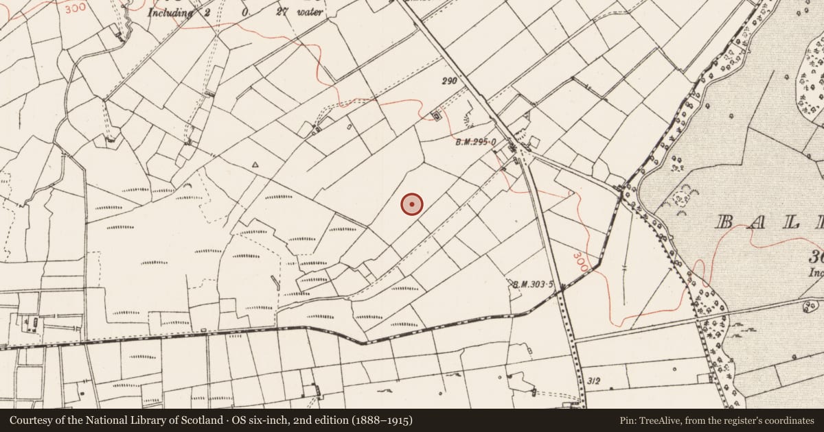 Ordnance Survey six-inch map, 2nd edition (1888–1915) covering the location of Barrow - ditch barrow, Leggatinty, County Roscommon, with a pin at the register's coordinates