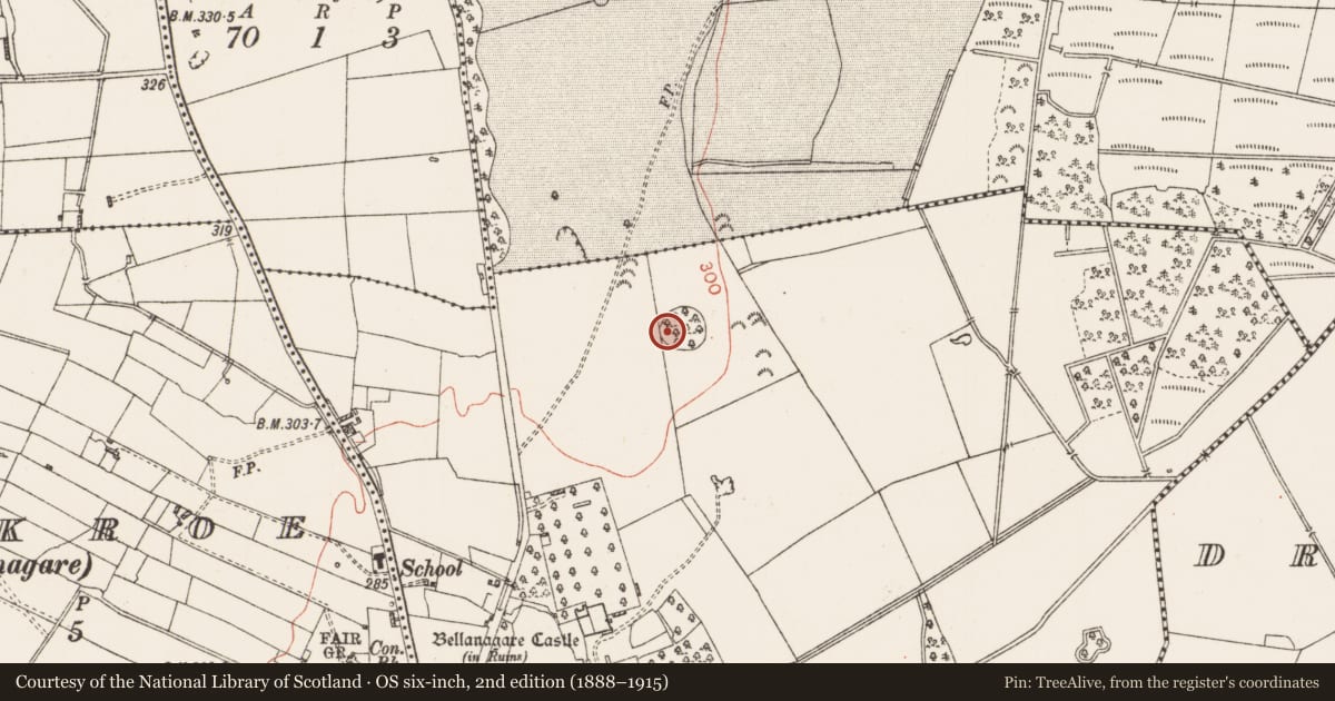 Ordnance Survey six-inch map, 2nd edition (1888–1915) covering the location of Enclosure, Bellanagare, County Roscommon, with a pin at the register's coordinates