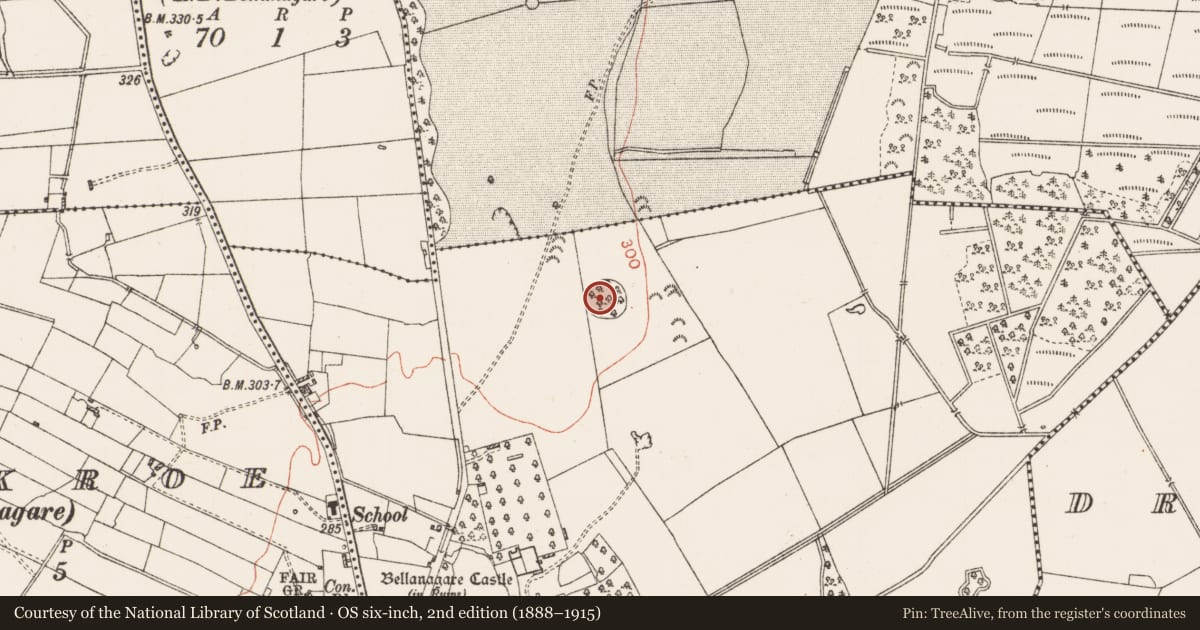 Ordnance Survey six-inch map, 2nd edition (1888–1915) covering the location of Enclosure, Bellanagare, County Roscommon, with a pin at the register's coordinates