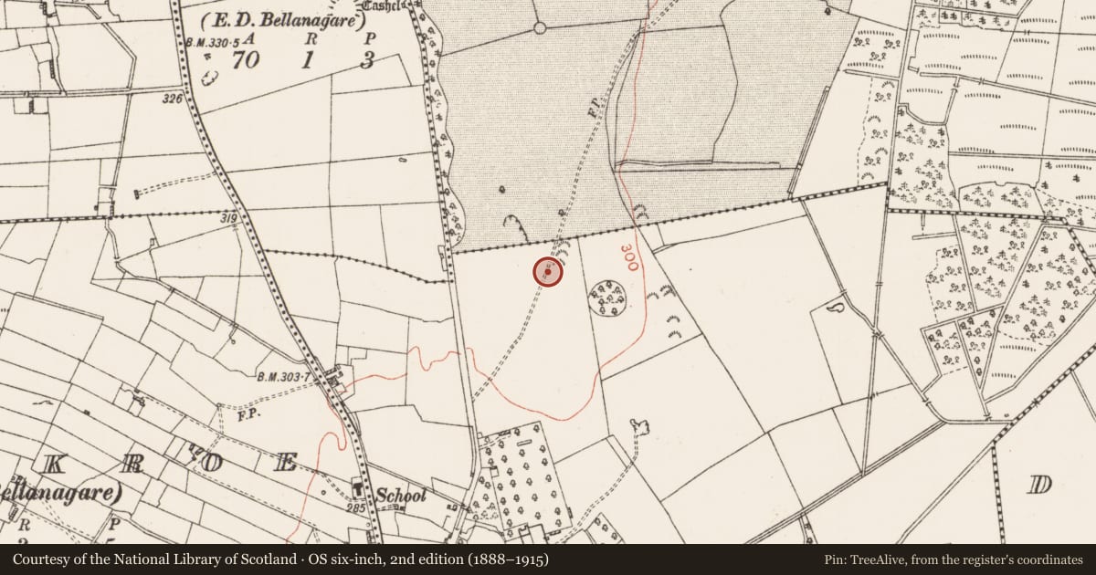 Ordnance Survey six-inch map, 2nd edition (1888–1915) covering the location of Field system, Bellanagare, County Roscommon, with a pin at the register's coordinates