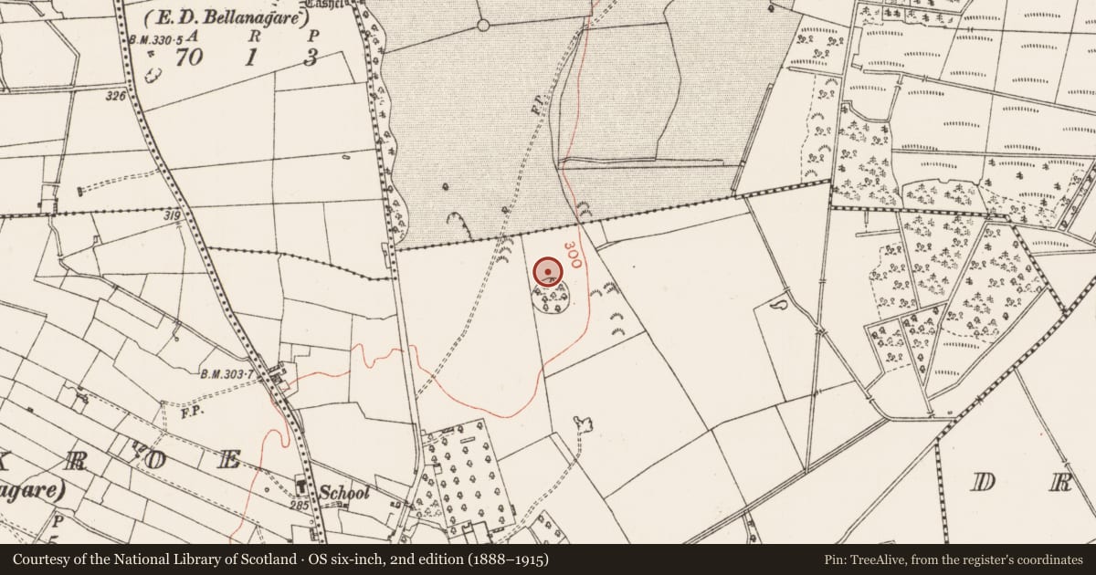 Ordnance Survey six-inch map, 2nd edition (1888–1915) covering the location of Enclosure, Bellanagare, County Roscommon, with a pin at the register's coordinates