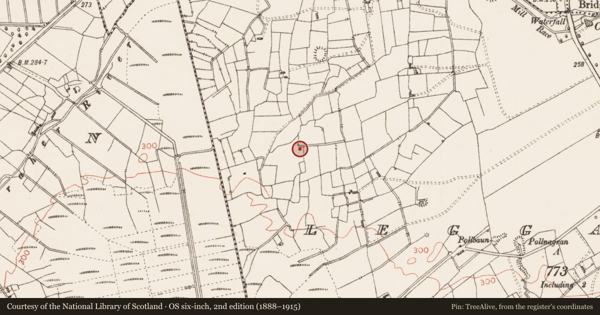 Ordnance Survey six-inch map, 2nd edition (1888–1915) covering the location of Fulacht fia, Leggatinty, County Roscommon, with a pin at the register's coordinates