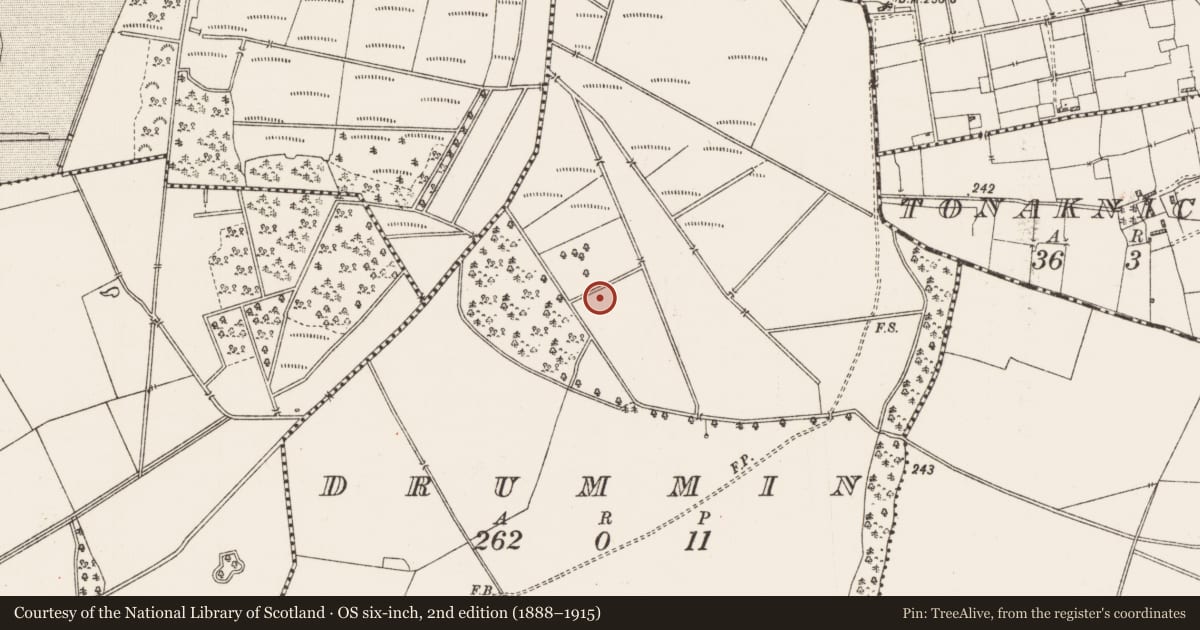Ordnance Survey six-inch map, 2nd edition (1888–1915) covering the location of Mound, Drummin, County Roscommon, with a pin at the register's coordinates