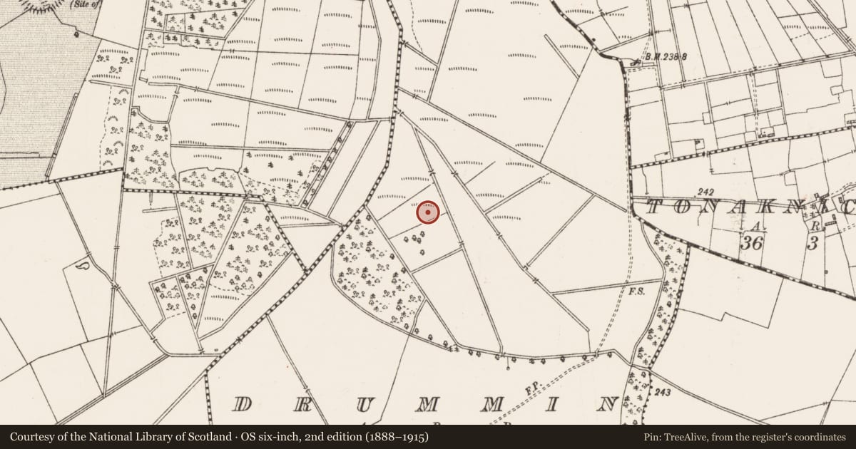 Ordnance Survey six-inch map, 2nd edition (1888–1915) covering the location of Mound, Drummin, County Roscommon, with a pin at the register's coordinates