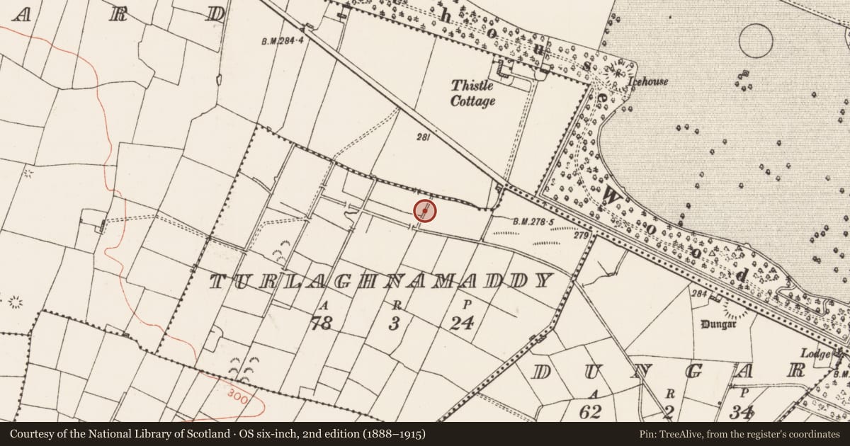 Ordnance Survey six-inch map, 2nd edition (1888–1915) covering the location of Ringfort - rath, Turlaghnamaddy, County Roscommon, with a pin at the register's coordinates