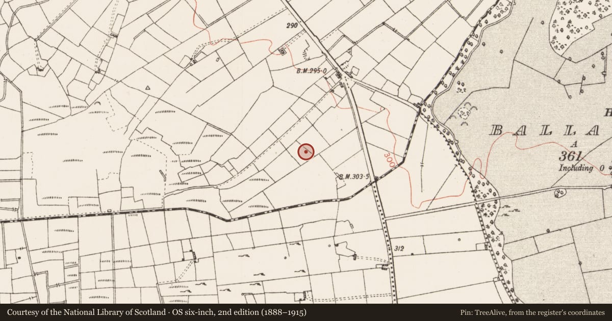 Ordnance Survey six-inch map, 2nd edition (1888–1915) covering the location of Burnt spread, Leggatinty, County Roscommon, with a pin at the register's coordinates