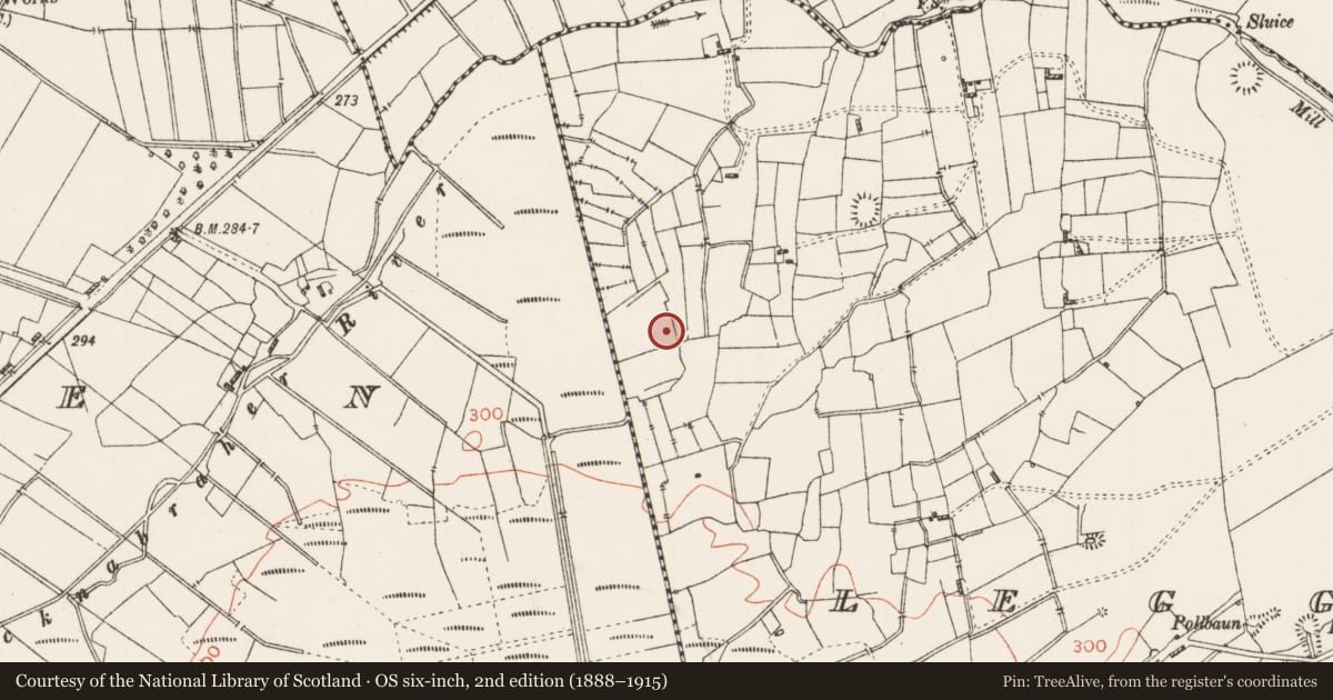 Ordnance Survey six-inch map, 2nd edition (1888–1915) covering the location of Burnt spread, Leggatinty, County Roscommon, with a pin at the register's coordinates