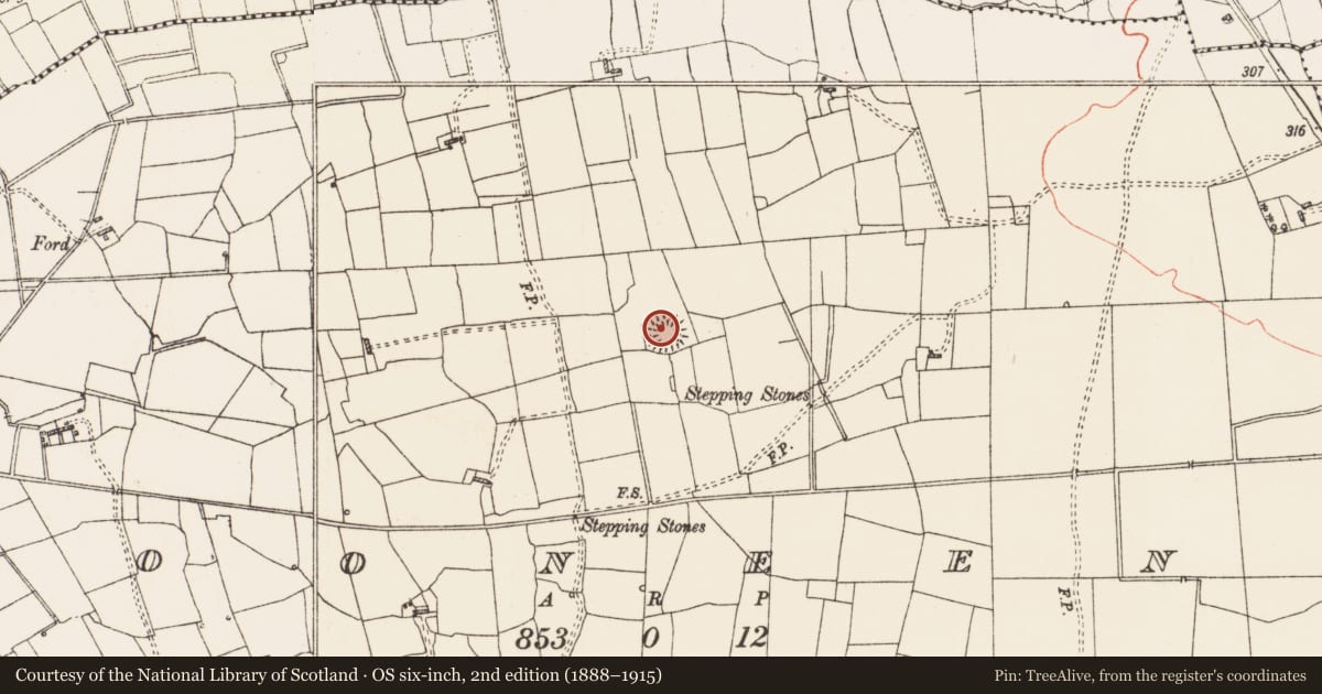 Ordnance Survey six-inch map, 2nd edition (1888–1915) covering the location of Ringfort - rath, Dooneen, County Roscommon, with a pin at the register's coordinates
