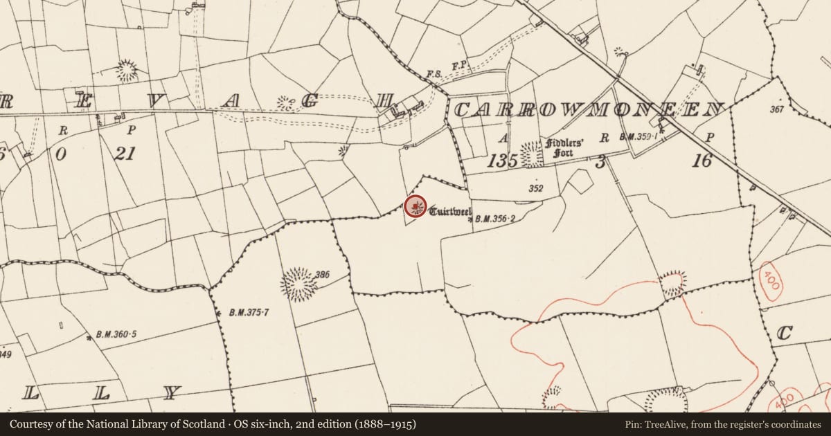 Ordnance Survey six-inch map, 2nd edition (1888–1915) covering the location of Hut site, Carrowmoneen, County Roscommon, with a pin at the register's coordinates