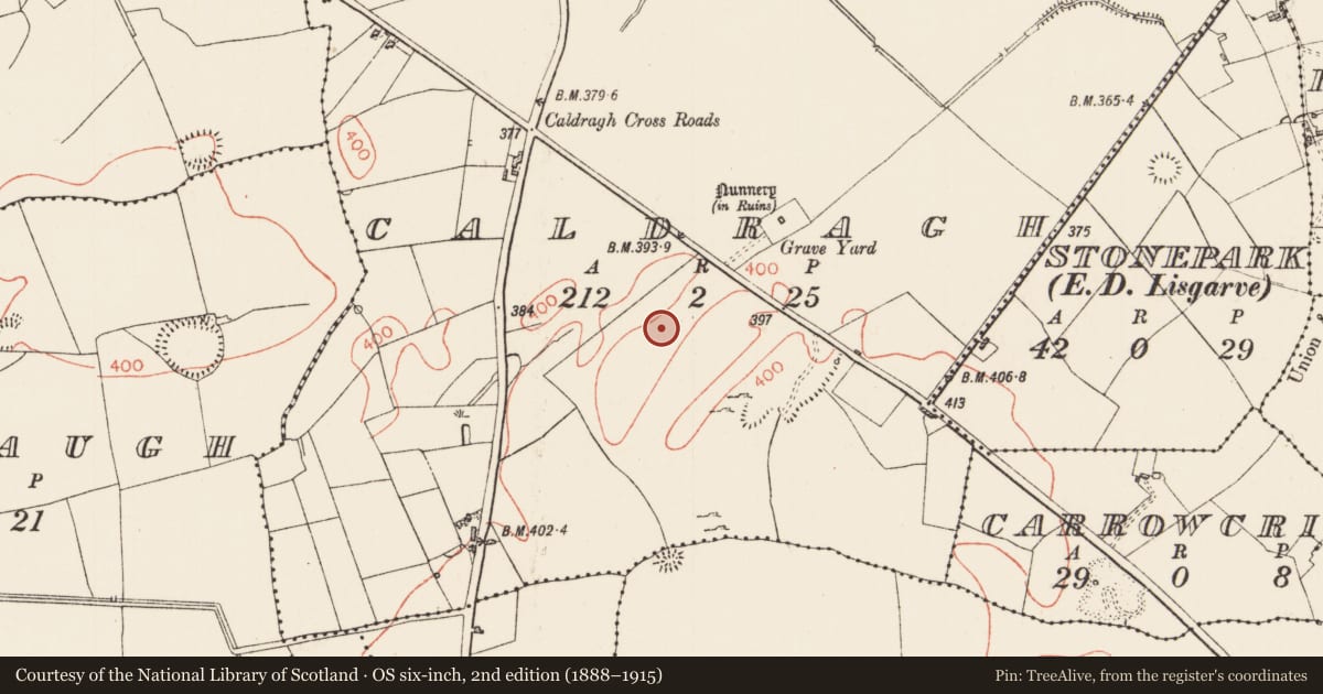 Ordnance Survey six-inch map, 2nd edition (1888–1915) covering the location of Field system, Caldragh, County Roscommon, with a pin at the register's coordinates