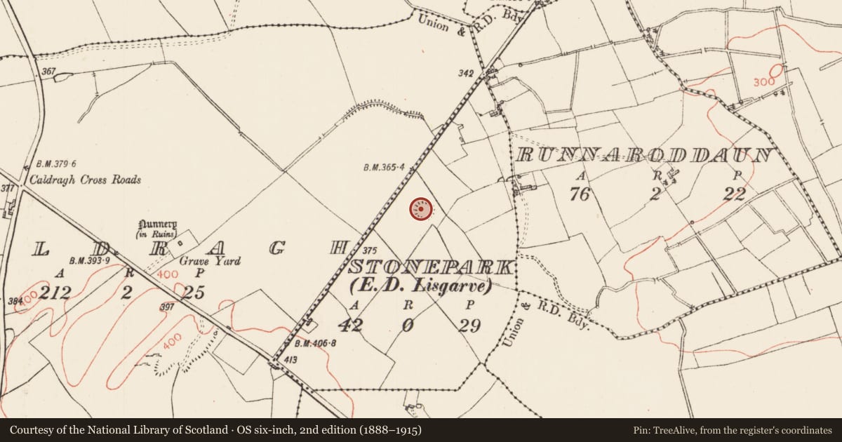 Ordnance Survey six-inch map, 2nd edition (1888–1915) covering the location of Ringfort - rath, Stonepark, County Roscommon, with a pin at the register's coordinates