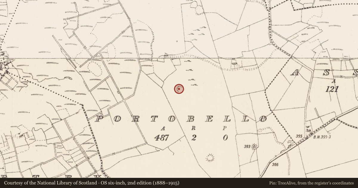 Ordnance Survey six-inch map, 2nd edition (1888–1915) covering the location of Ringfort - rath, Portobello, County Roscommon, with a pin at the register's coordinates