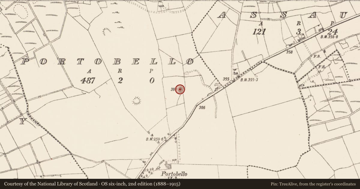 Ordnance Survey six-inch map, 2nd edition (1888–1915) covering the location of Barrow - ring-barrow, Portobello, County Roscommon, with a pin at the register's coordinates