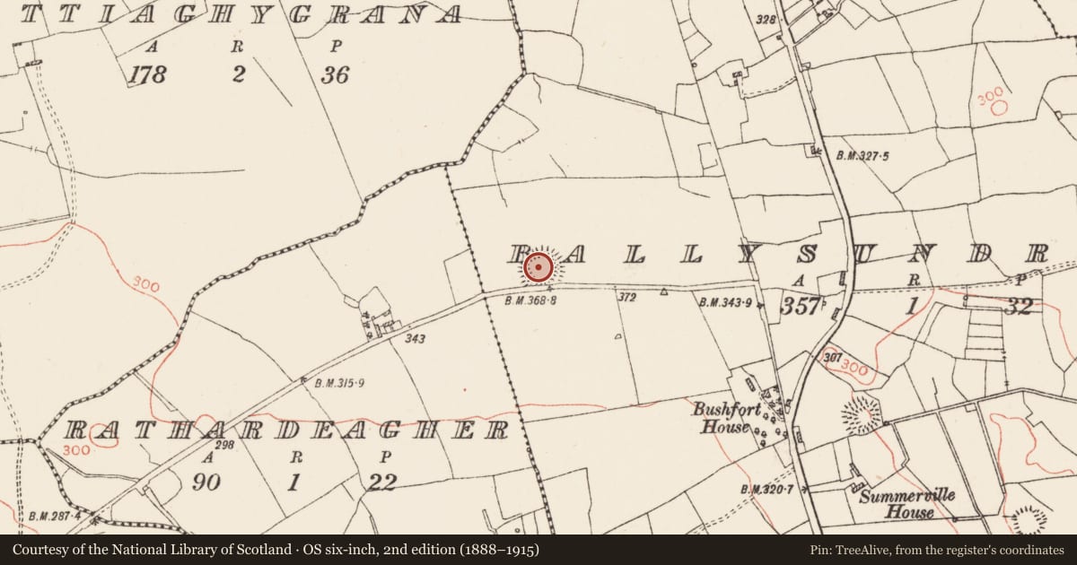 Ordnance Survey six-inch map, 2nd edition (1888–1915) covering the location of Ringfort - rath, Ballysundrivan, County Roscommon, with a pin at the register's coordinates