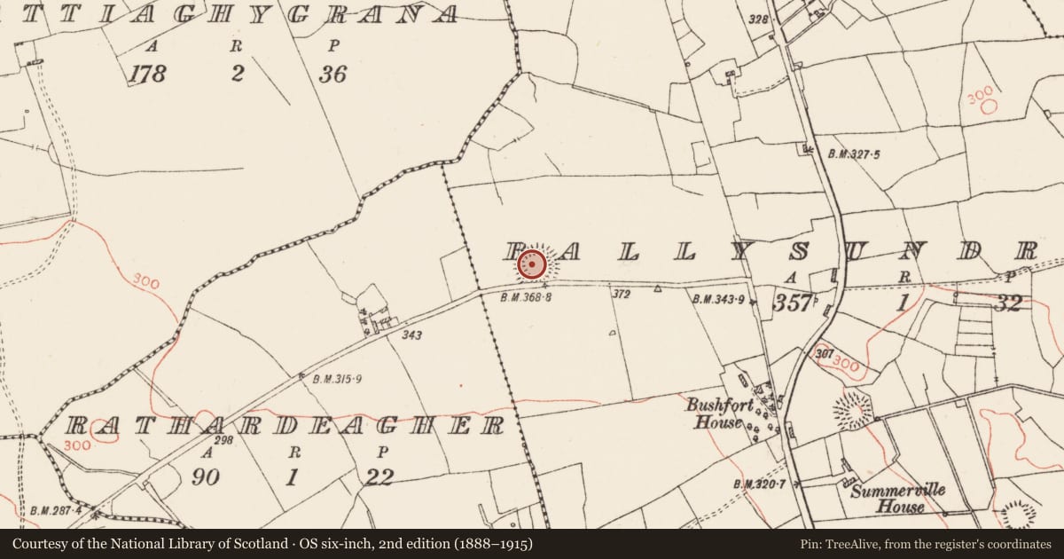 Ordnance Survey six-inch map, 2nd edition (1888–1915) covering the location of Ringfort - cashel, Ballysundrivan, County Roscommon, with a pin at the register's coordinates