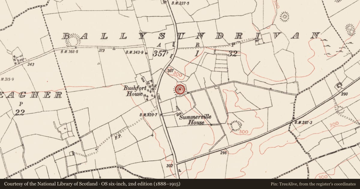 Ordnance Survey six-inch map, 2nd edition (1888–1915) covering the location of Ringfort - rath, Ballysundrivan, County Roscommon, with a pin at the register's coordinates