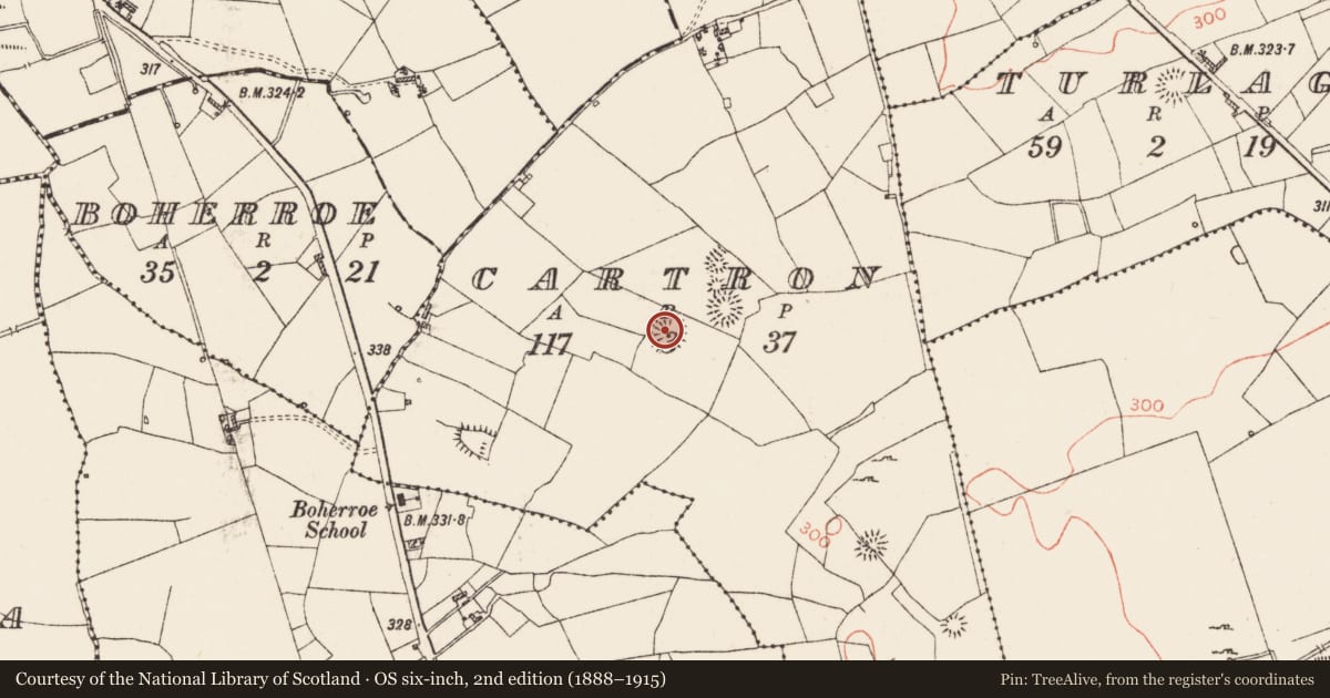 Ordnance Survey six-inch map, 2nd edition (1888–1915) covering the location of Ringfort - rath, Cartron, County Roscommon, with a pin at the register's coordinates