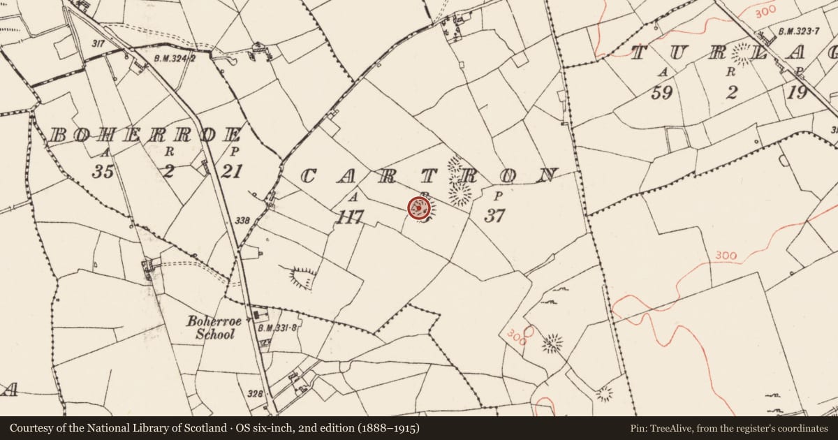 Ordnance Survey six-inch map, 2nd edition (1888–1915) covering the location of Hut site, Cartron, County Roscommon, with a pin at the register's coordinates