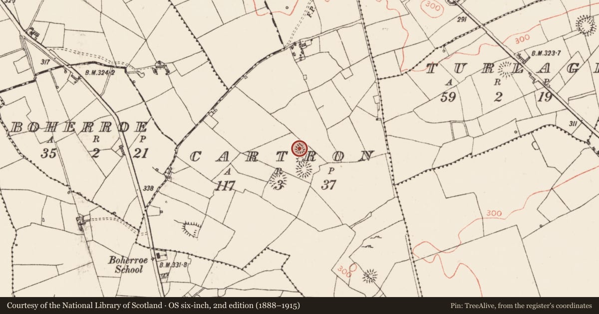 Ordnance Survey six-inch map, 2nd edition (1888–1915) covering the location of Mound, Cartron, County Roscommon, with a pin at the register's coordinates