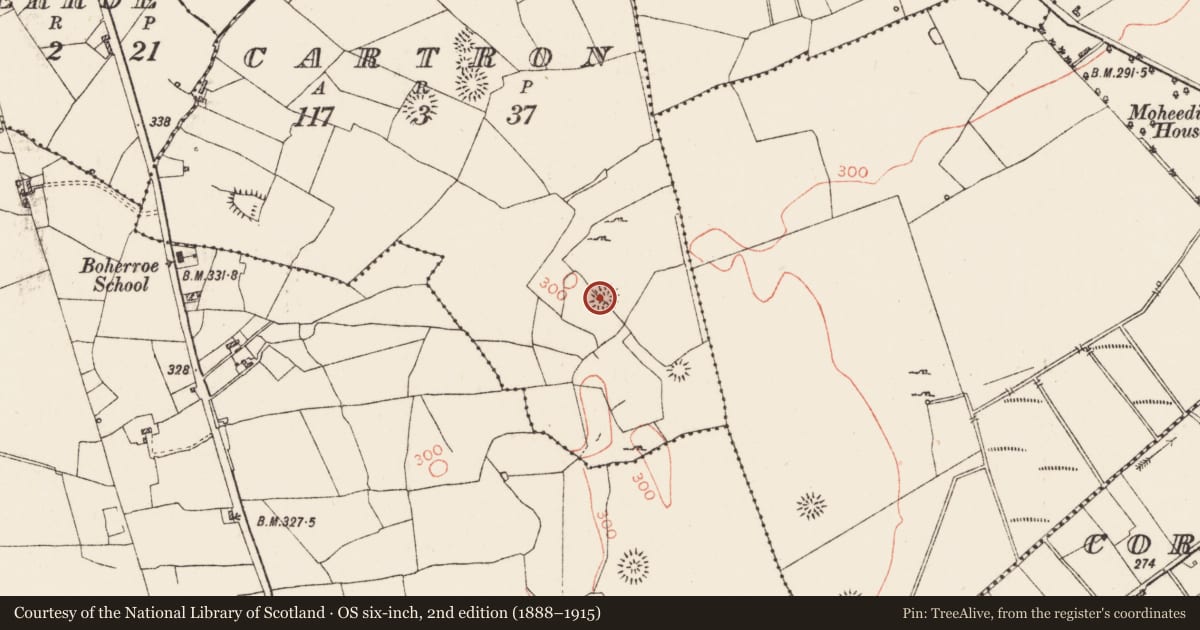 Ordnance Survey six-inch map, 2nd edition (1888–1915) covering the location of Ringfort - rath, Cartron, County Roscommon, with a pin at the register's coordinates