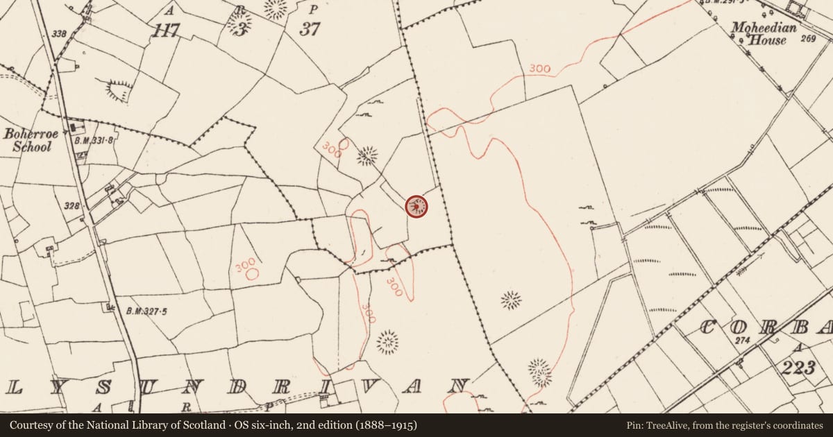 Ordnance Survey six-inch map, 2nd edition (1888–1915) covering the location of Barrow - ring-barrow, Cartron, County Roscommon, with a pin at the register's coordinates