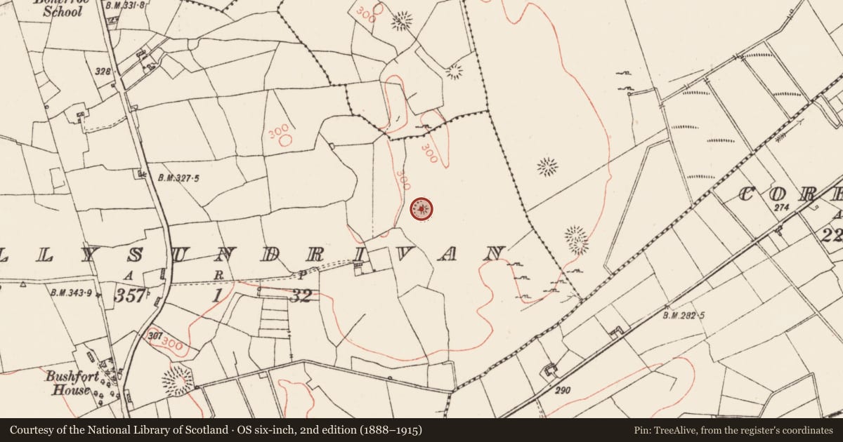 Ordnance Survey six-inch map, 2nd edition (1888–1915) covering the location of Ringfort - rath, Ballysundrivan, County Roscommon, with a pin at the register's coordinates