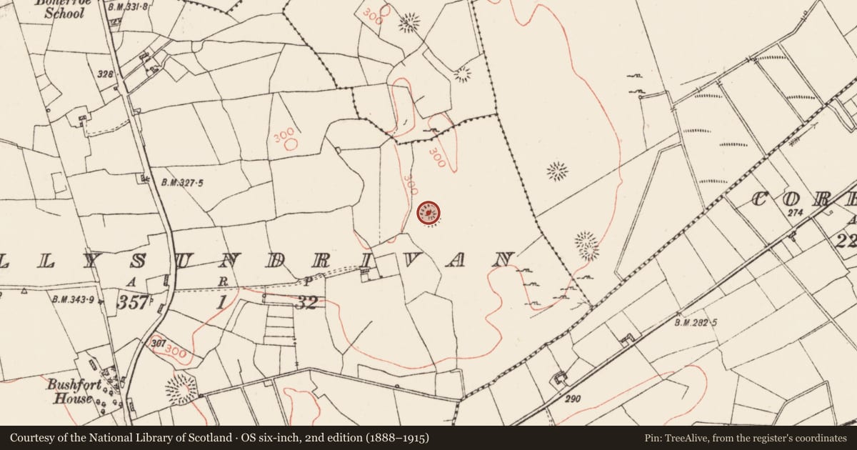 Ordnance Survey six-inch map, 2nd edition (1888–1915) covering the location of House - indeterminate date, Ballysundrivan, County Roscommon, with a pin at the register's coordinates