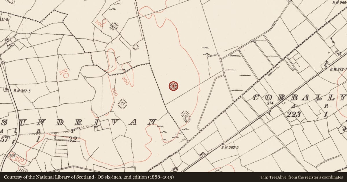 Ordnance Survey six-inch map, 2nd edition (1888–1915) covering the location of Ringfort - rath, Moheedian, County Roscommon, with a pin at the register's coordinates