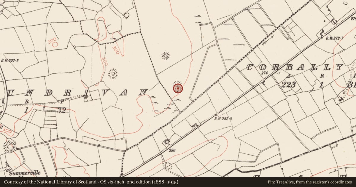 Ordnance Survey six-inch map, 2nd edition (1888–1915) covering the location of Field system, Moheedian, County Roscommon, with a pin at the register's coordinates