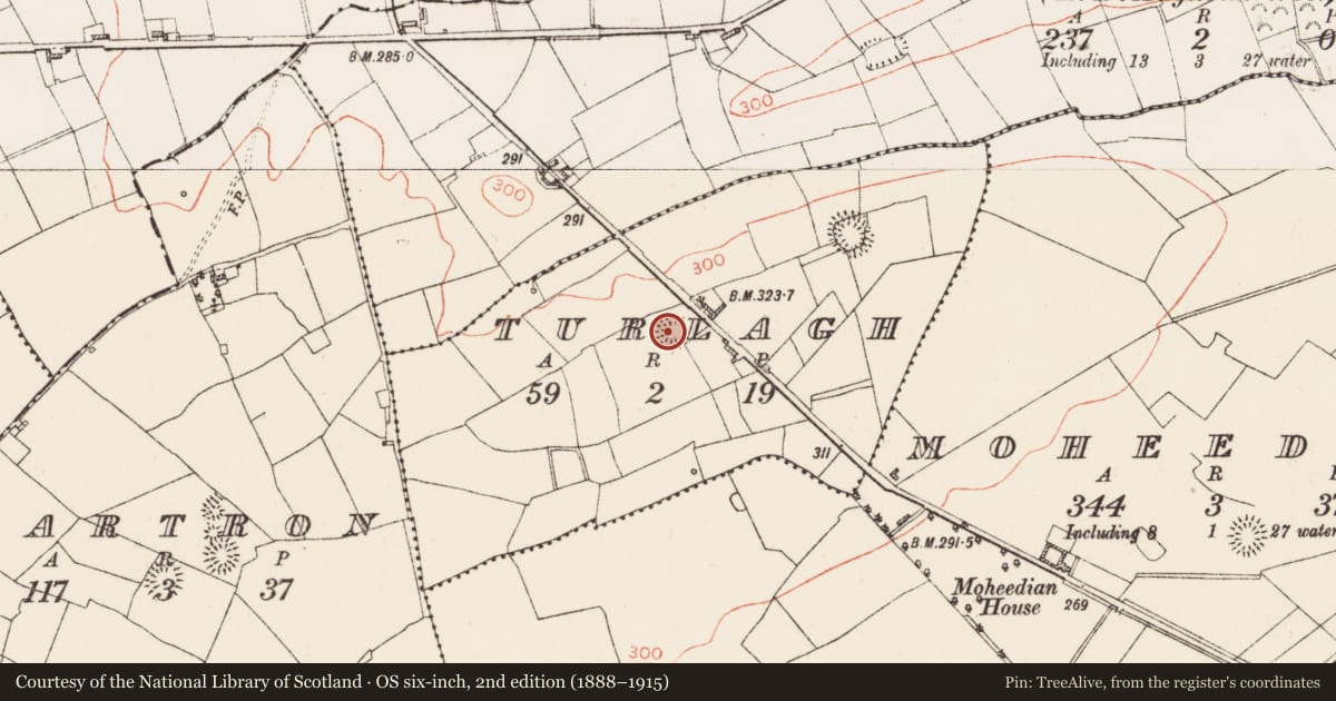 Ordnance Survey six-inch map, 2nd edition (1888–1915) covering the location of Ringfort - rath, Turlagh, County Roscommon, with a pin at the register's coordinates