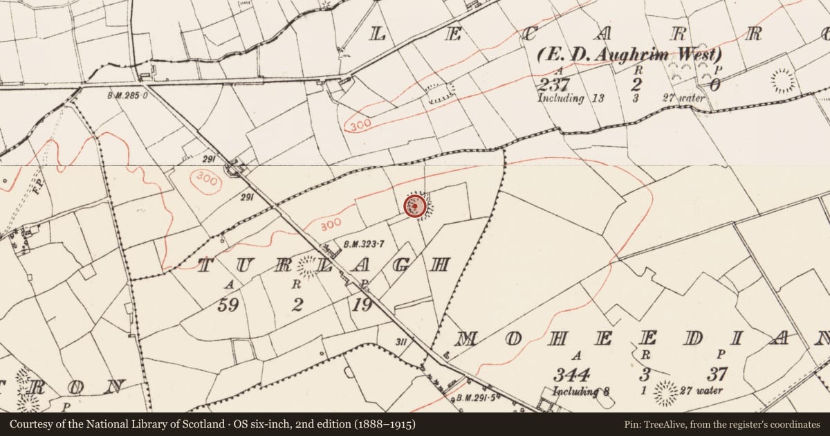 Ordnance Survey six-inch map, 2nd edition (1888–1915) covering the location of Ringfort - rath, Turlagh, County Roscommon, with a pin at the register's coordinates