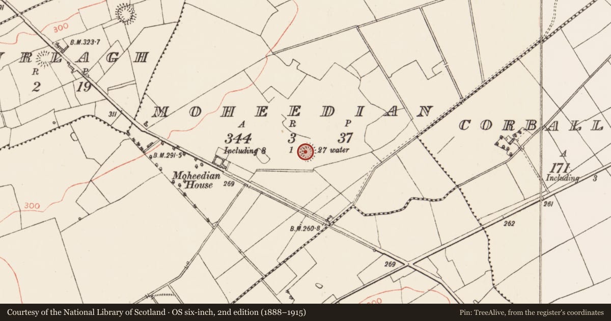 Ordnance Survey six-inch map, 2nd edition (1888–1915) covering the location of Ringfort - rath, Moheedian, County Roscommon, with a pin at the register's coordinates
